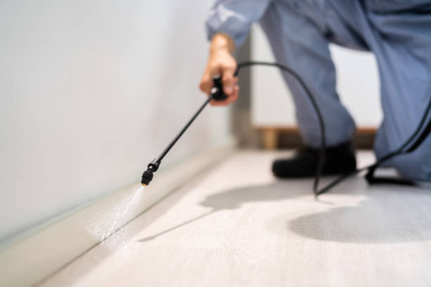 Licensed Emergency Pest Control service in Sacred Heart University, CT - Nex Pest Control