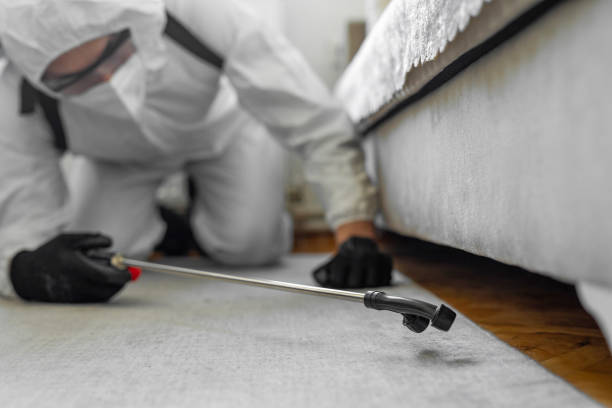 Professional Emergency Pest Control technician working in Sacred Heart University, CT