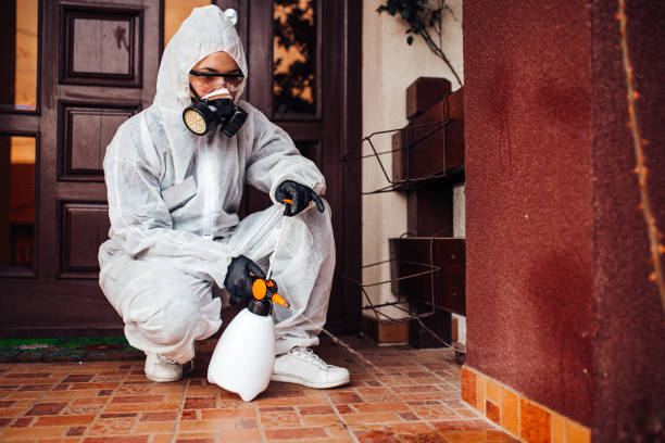 Reliable Emergency Pest Control contractor in Sacred Heart University, CT by Nex Pest Control