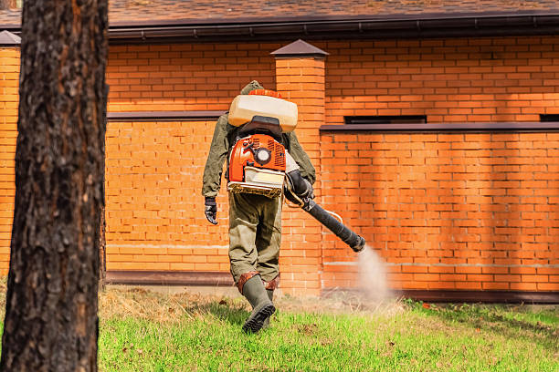 Trusted Rodent Control service in Sacred Heart University, CT - Nex Pest Control
